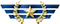 Player rank badge