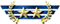Player rank badge